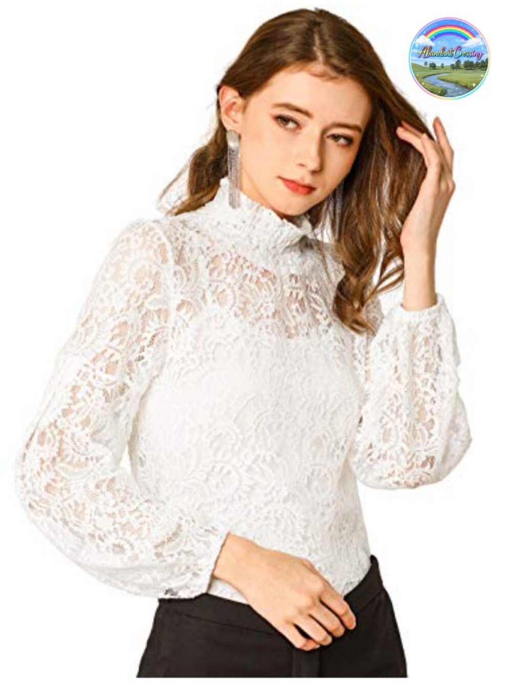 Floral Lace Sheer Turtleneck Puff Long Sleeve Blouse